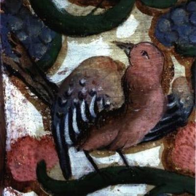 Lerma Epistola Pajarito