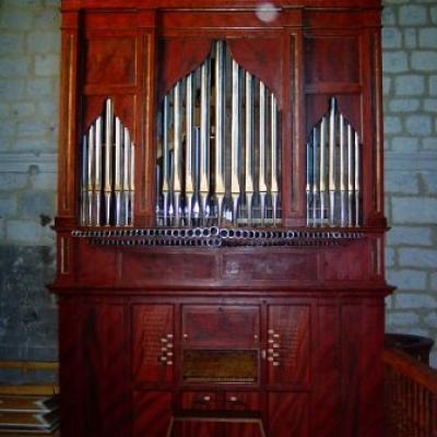 Pampliega Frontal Im001071